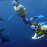 nusa penida day trip